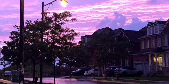 736x1308 Pink street, Pink sky, Aesthetic wallpapers