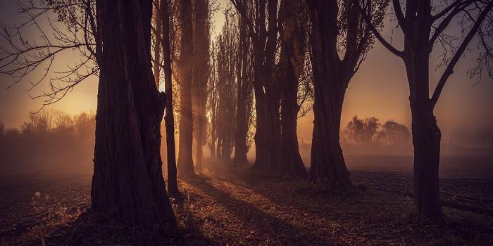 1280x853 Outside The Window & Outside Images