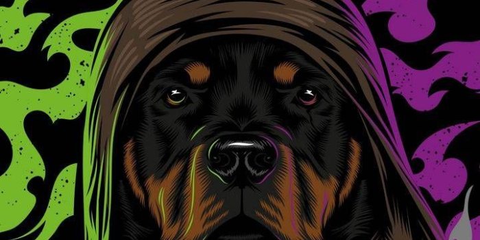 720x1280 Dog wallpaper iphone, Rottweiler dog
