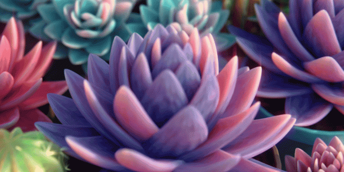 1080x1920 Succulents wallpaper I made : r/blender