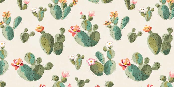 3028x1872 Cactus Plants Wallpaper for Walls