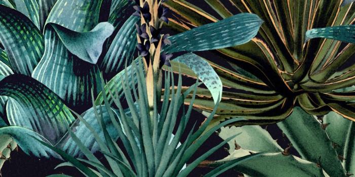 1280x1600 LUSH SUCCULENTS Wallpaper - Designer