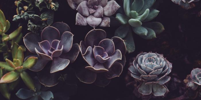 6000x4000 HD Desktop Background With a beautiful