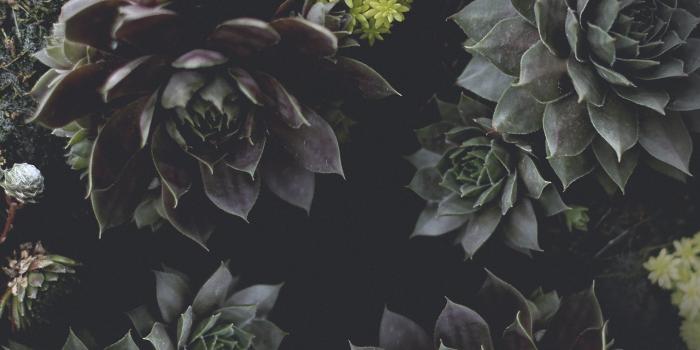 2880x1800 Wallpapers - Hoen's Garden Center