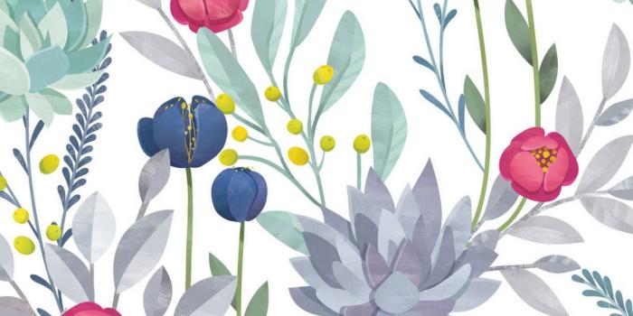 1080x1080 Succulent Wallpaper Mural