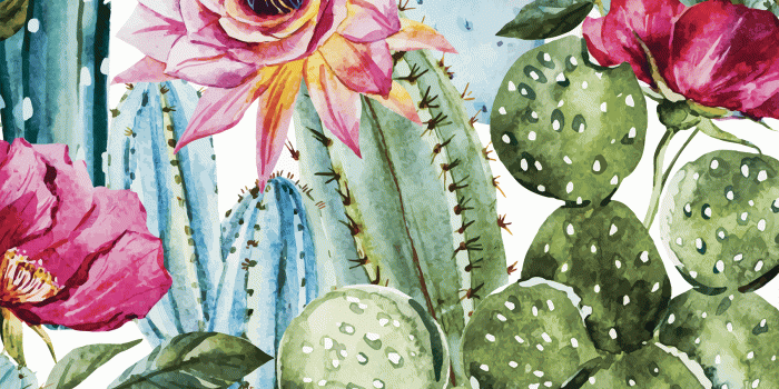 1800x1800 Cactus Botanical Removable Wallpaper