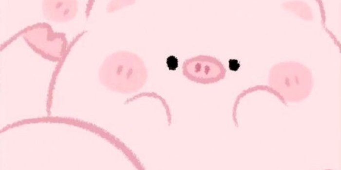 736x1333 Cute Pink Pig Wallpaper | Cute iphone