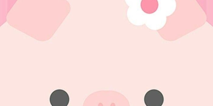 720x1280 Kawaii Cute Pigs Wallpapers - Wallpaper