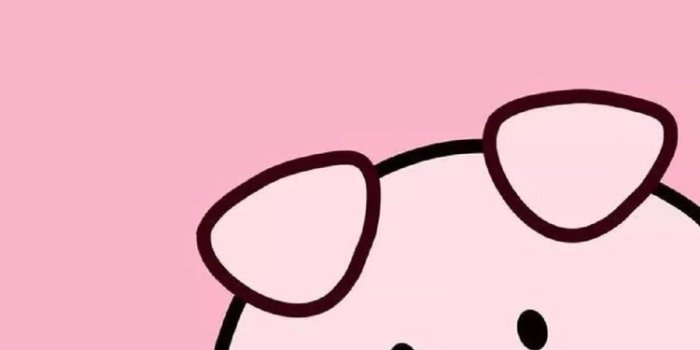 750x1333 Pig iPhone Wallpapers