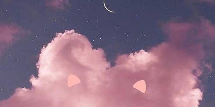 888x1920 Download Cute Pig Clouds Wallpaper