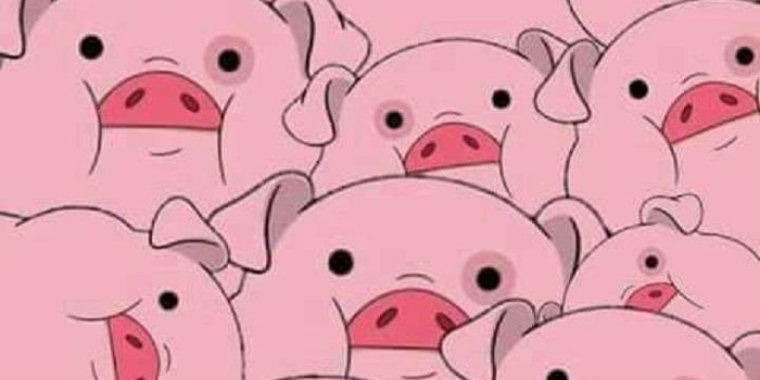 720x1280 Adorable Pig Wallpaper for Your Phone