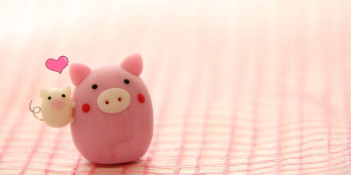 1920x1080 Download free Cute Pink Pigs Laptop