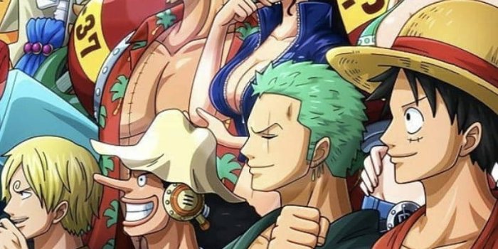 800x1320 100+] Luffy Zoro Wallpapers