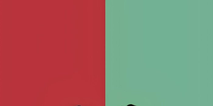 1440x2560 Luffy and Zoro Wallpapers - Top 20 Best