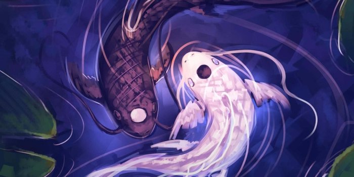 1788x1080 100+] Koi Fish Pictures | Wallpapers.com