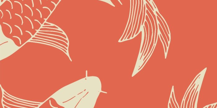 900x900 Orange Koi Fish Wallpaper - Peel and