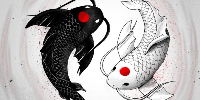 1450x2030 Yin Yang Fish Wallpapers