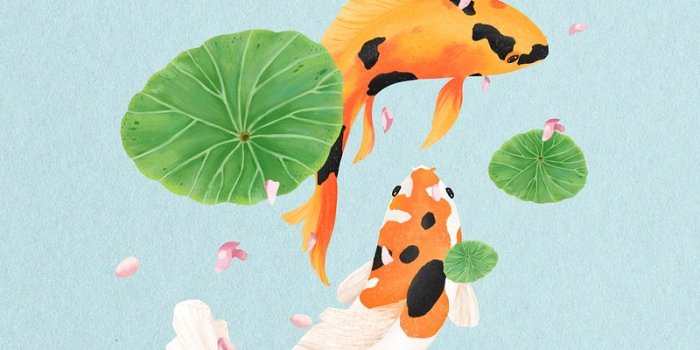 800x1422 Green Koi Fish Images | Free Photos