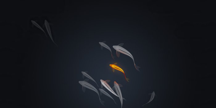 3840x2160 Koi Fishes Minimal 4k Wallpaper,HD