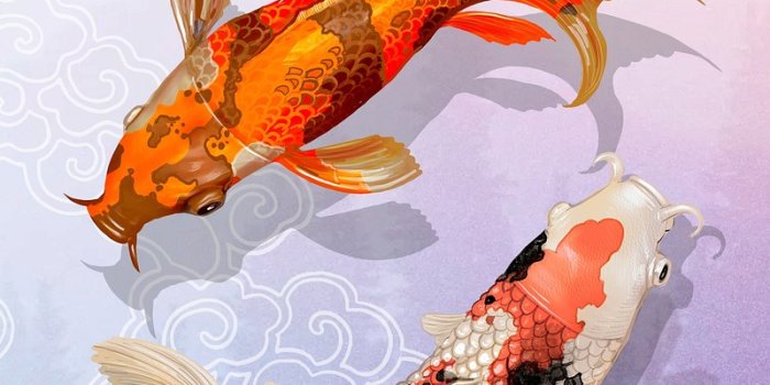 800x1422 Koi Fish Images | Free Photos, PNG