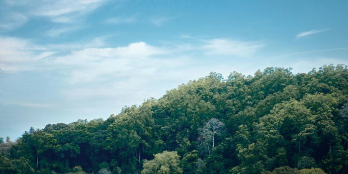 4160x5824 Sri Lanka Stock Photos & HD Images