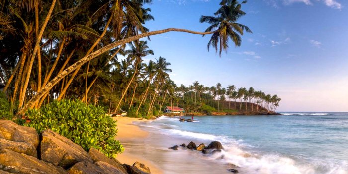1920x1080 100+] Sri Lanka Wallpapers | Wallpapers.com
