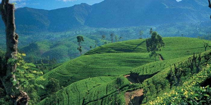 1680x1050 Sri Lanka Wallpapers