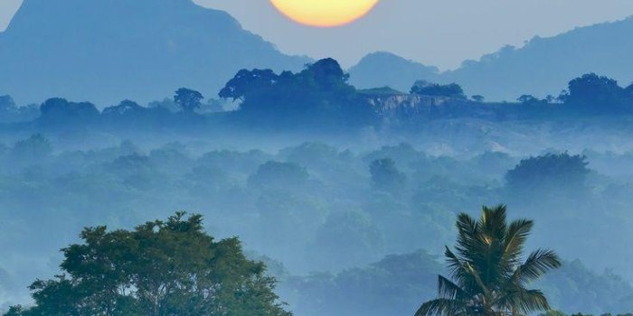 735x1102 Sri Lanka Mobile Wallpapers - Wallpaper