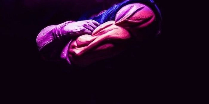 736x1308 Vegeta Ultra Ego Dragon Ball Super Live