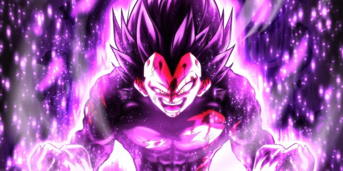 1920x1507 100+] Vegeta Ultra Ego Wallpapers