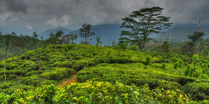 1280x853 Desktop Wallpapers Sri Lanka Nature Sky