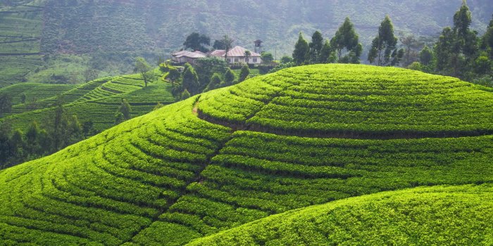 3000x2000 HD desktop wallpaper: Sri Lanka, Man