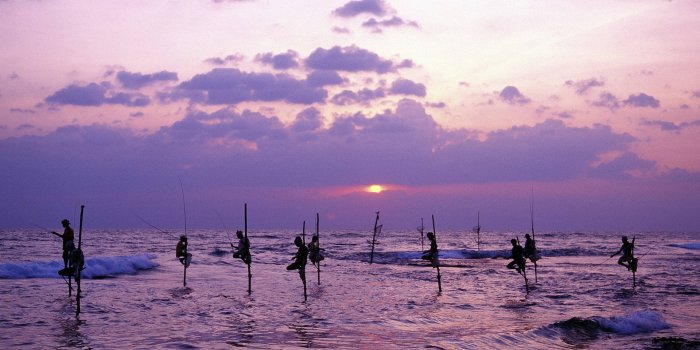 1920x1080 Download free Sri Lanka Stilt Fishing