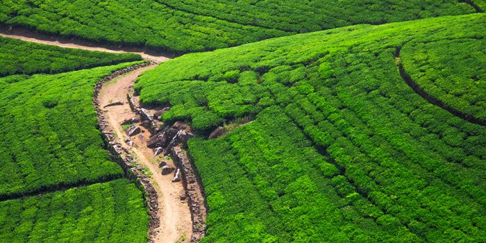 1280x853 Desktop Wallpapers Sri Lanka Nuwara