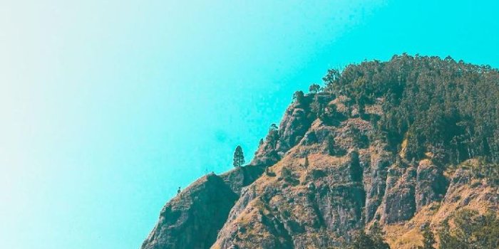 736x1103 Ella Sri Lanka Wallpaper by Sasitha123