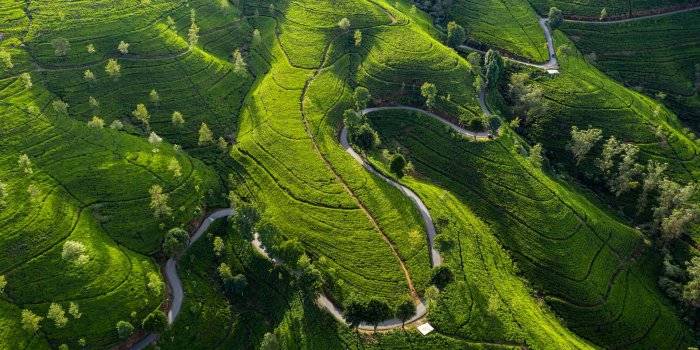 1920x1080 Bing HD Wallpaper Jul 23, 2023: Nuwara