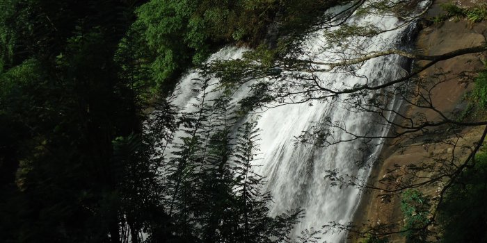1600x1200 Sri Lanka Desktop Wallpapers Nature