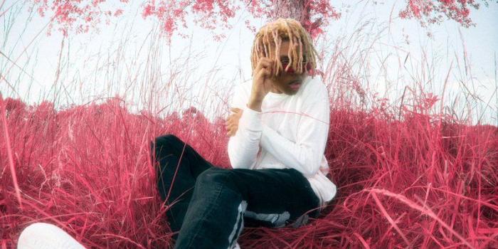 799x1200 American Rapper, Andre Dontrel Burt