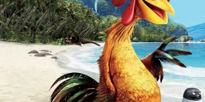 720x1280 Chicken Joe Wallpaper - iXpap | Chicken