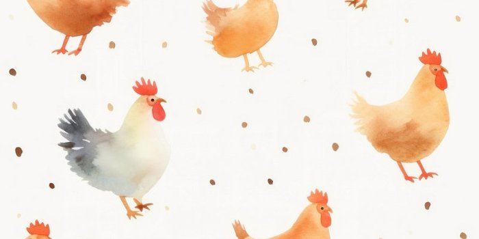 800x1427 Wallpaper Chicken Images | Free Photos
