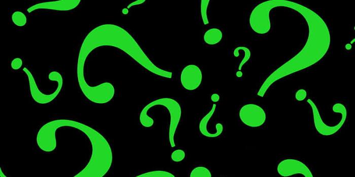 800x1659 Question Marks Background