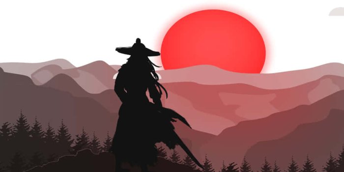 900x468 100+] Ronin Wallpapers | Wallpapers.com
