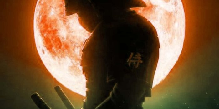 1080x1920 Ronin Warrior Holding a Sword Wallpaper