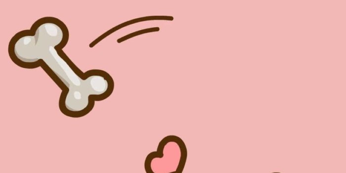 1080x1920 Download Adorable Kawaii Dog in a