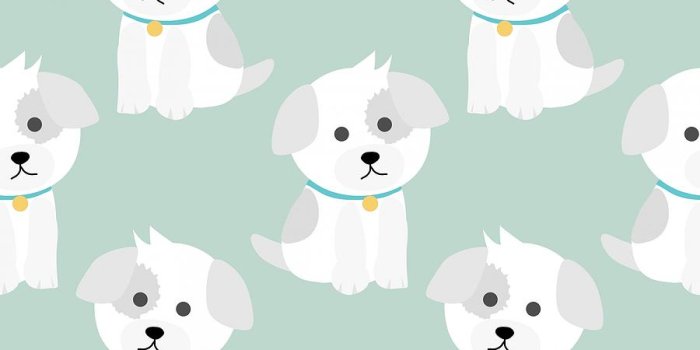 900x900 Dog Cartoon Cute Background Painting by