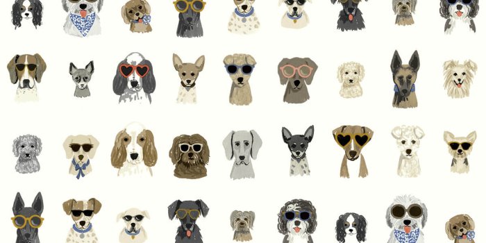 1200x1067 Rifle Paper Co. Dog Days Peel & Stick