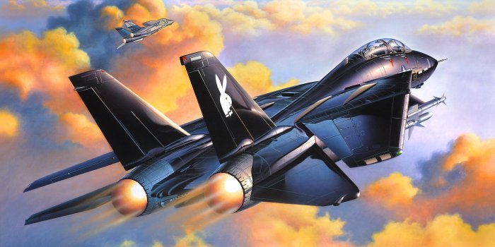 3359x2397 Download Military Grumman F-14 Tomcat