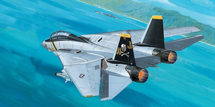 1920x1080 Download Military Grumman F-14 Tomcat