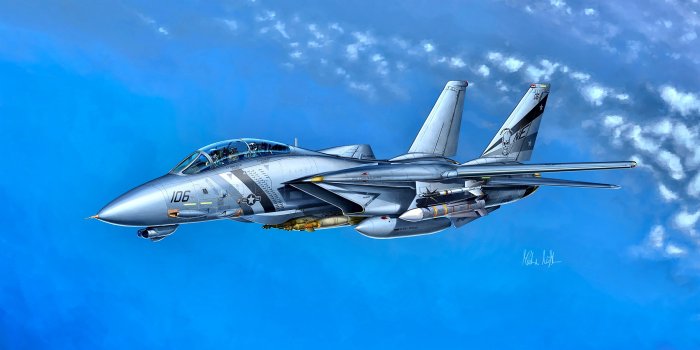 3840x2338 Navy, Grumman F-14D Super Tomcat