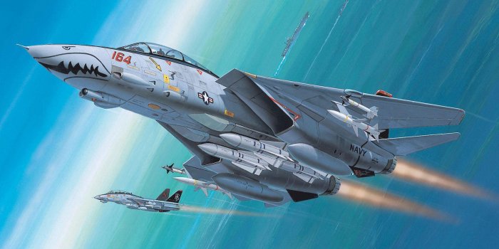 1920x1080 Grumman F-14 Tomcat Wallpapers